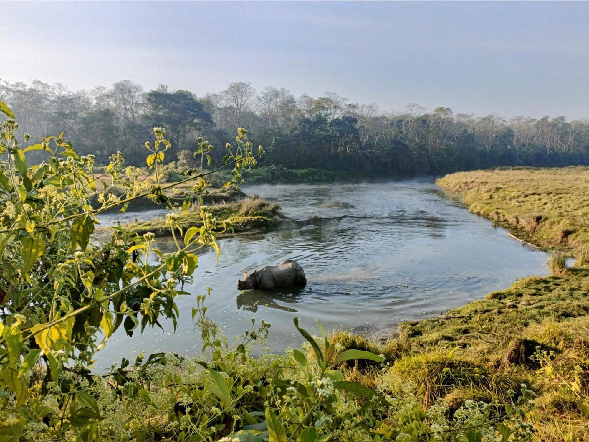 Hotel Tharu Garden And Beer Bar Chitwan Exteriér fotografie